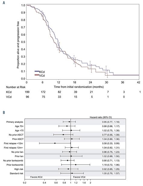 Carfilzomib or bortezomib in combination with 